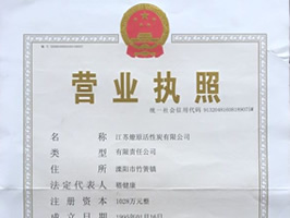 Business license (three in one)